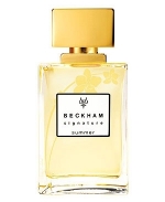 David Beckham Signature Summer Woman